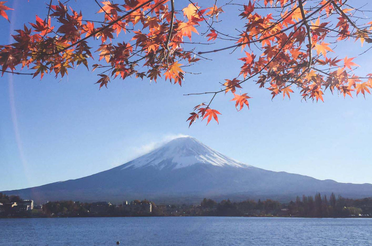 Mount Fuji