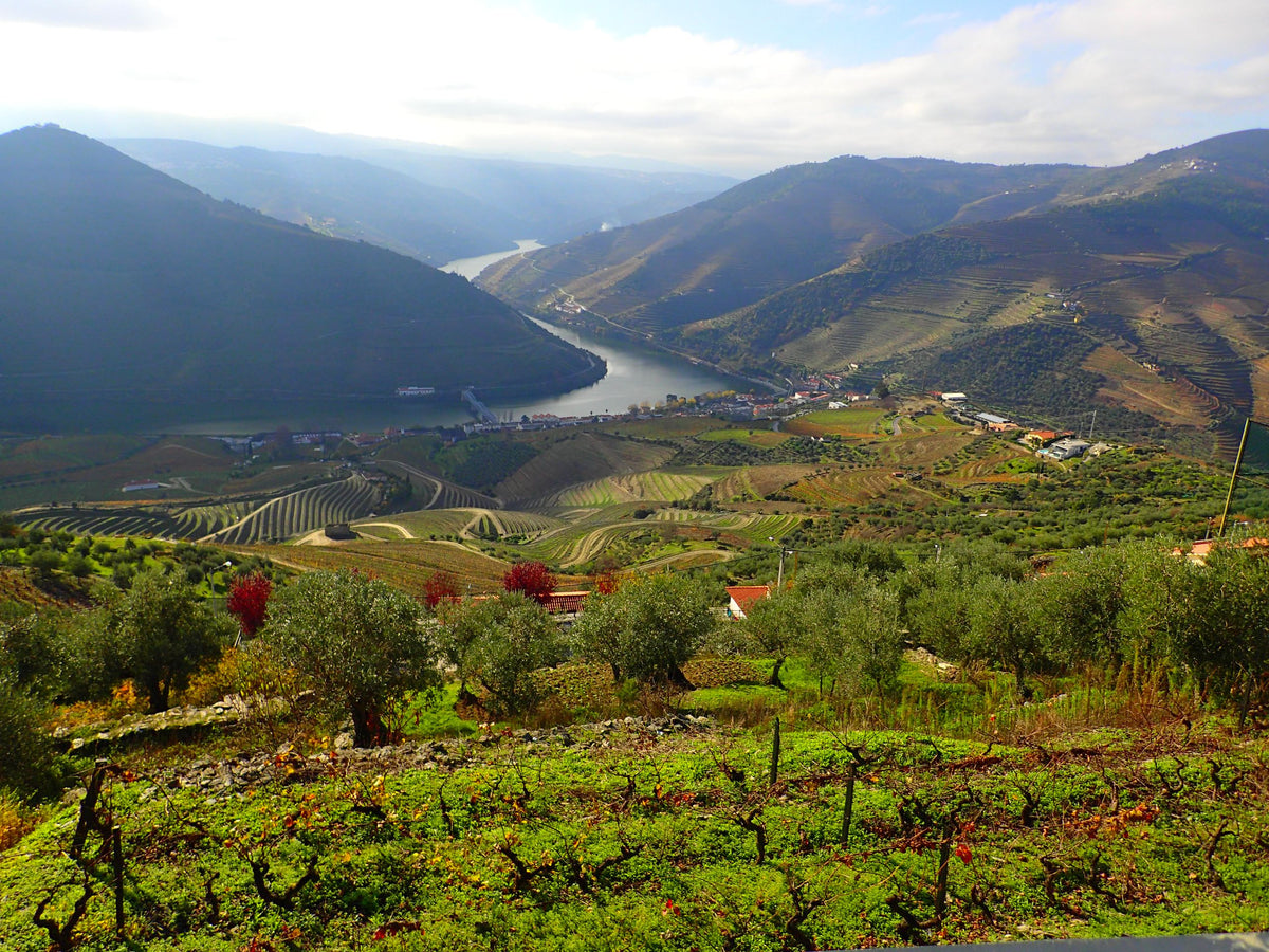 The Douro