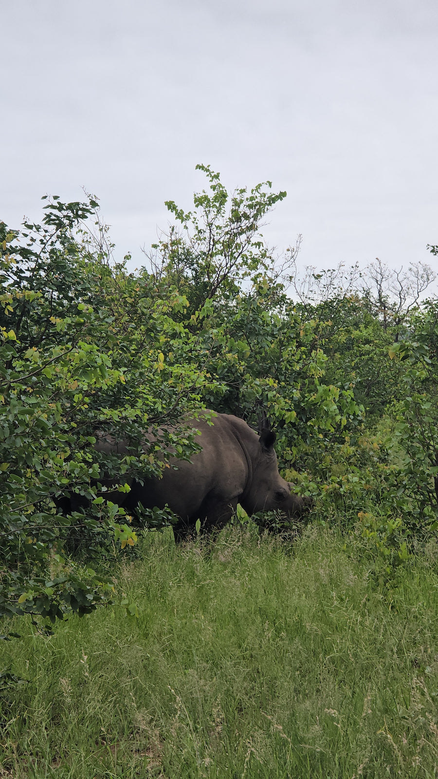 South Africa