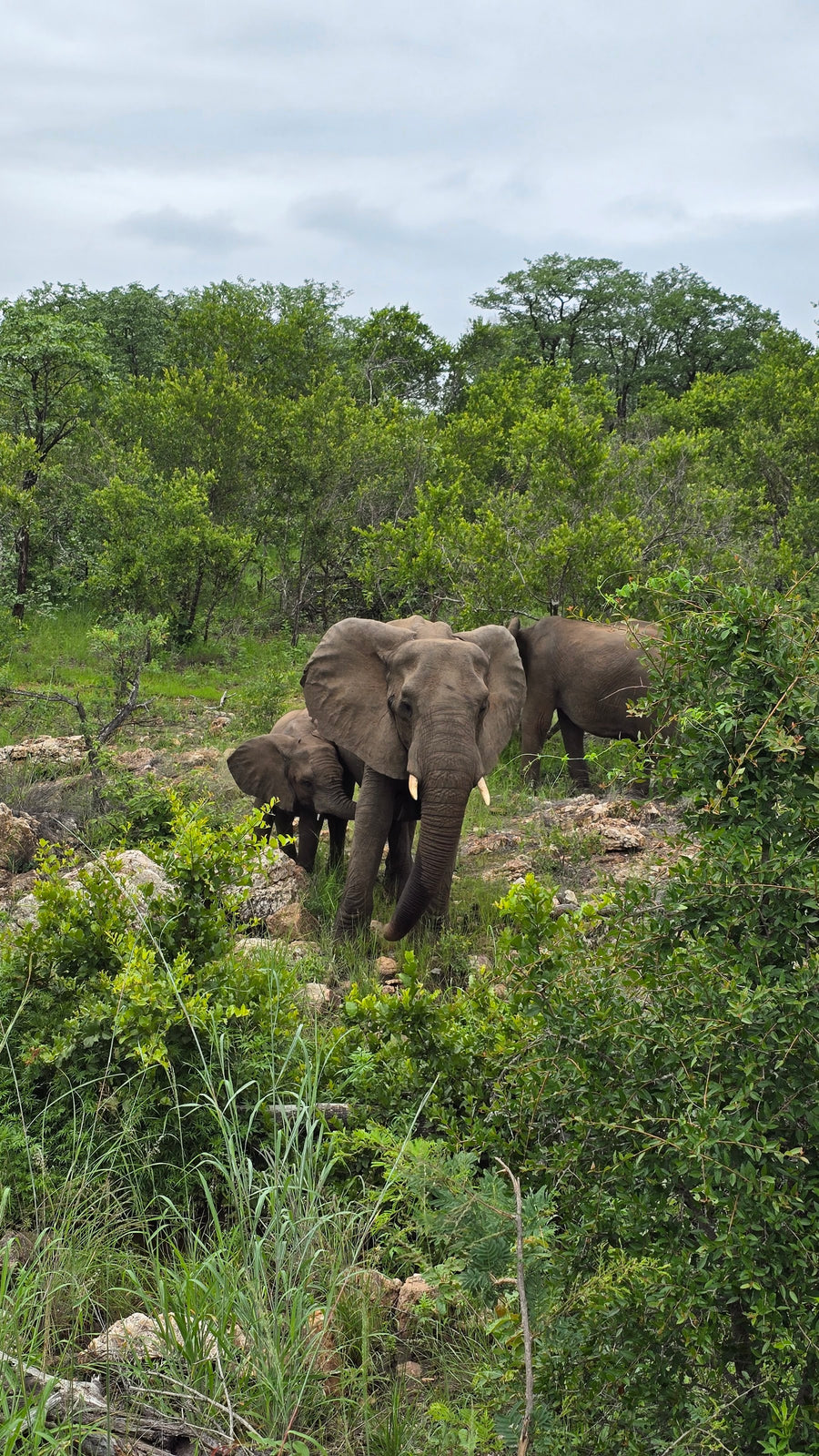 South Africa