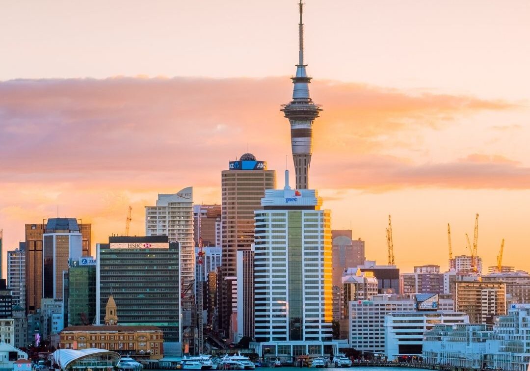 Untitled design (39)