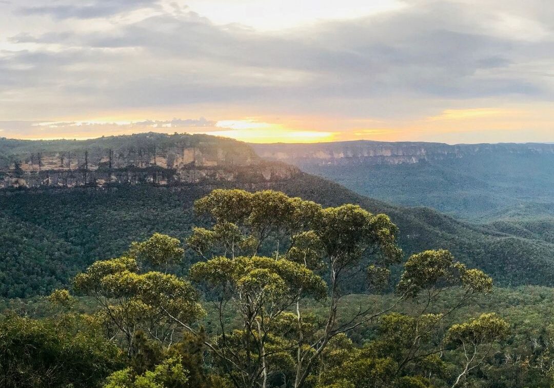 Untitled design (43)