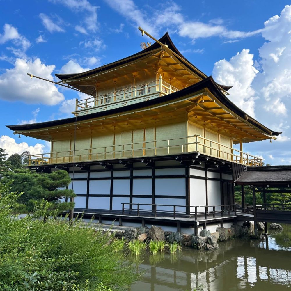 74185035-fb07-4c40-8234-8921d660f76b